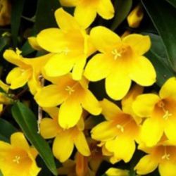 چند تا از کاربر های مورد علاقه ام