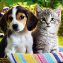 چند تا از کاربر های مورد علاقه ام