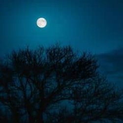 ببخشید ک هنوز زندم😽💔