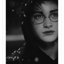 عکس چقدر هری پاتر رو میشناسی؟😀