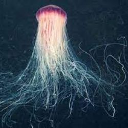 میخوام داستان بنویسم😂😂