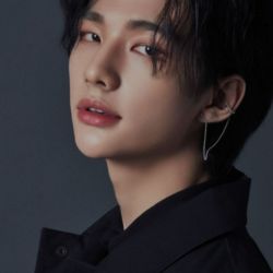 عکس های اعضای استری کیدز