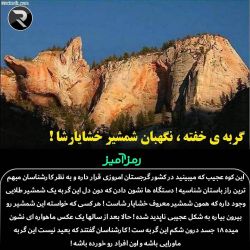 کاور