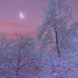 💕👑 بیوگرافی من 👑💕