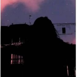 واقعا چرااااا؟؟؟