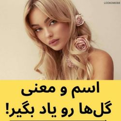 🌻🌸💐معنی گل ها🏵🌺🌷