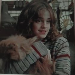 رد کردن تئوری های دارک هری پاتر