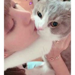 😘عکس گربه لسا 😘