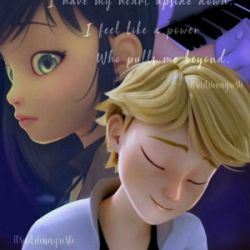 عکس love in miraculous 8