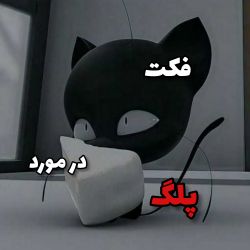 🖤فکت در مورد پلگ🖤