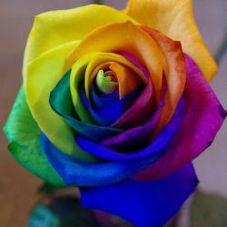 رنگ مورد علاقتون در موردتون چه می گوید؟