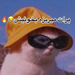 کاور