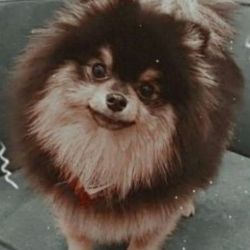 یونیتان ❤️