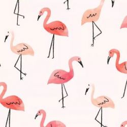 آیا میدانستید عجیب و باحال😍😎