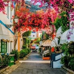 القاب جالب جهان