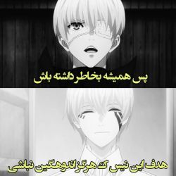 عکس ری اکشن سگ های ولگرد بانگو به اینکه من بیمارستانم