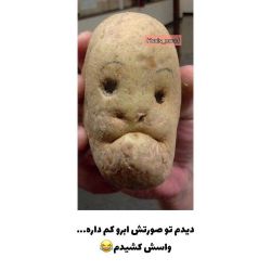 عکس سبزیجات بدقواره 😐