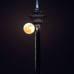 کاور