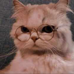 ‌‌‌‌‌‌‌‌‌‌بیا تو😐