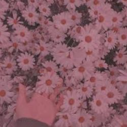 🌼خرافات کشور ها🌼