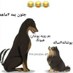 عکس جئون بم