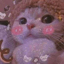 🌻✨سوئد بهشت دختراست✨🌻