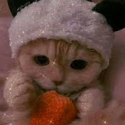 🌻🐣فکت از انیمیشن ها🐣🌻