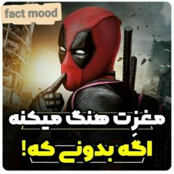 مغزت هنگ مکنع اگ بدونی😲😵