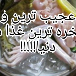 🍱عجیب ترین غذا های دنیا🍱