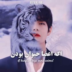 کاور