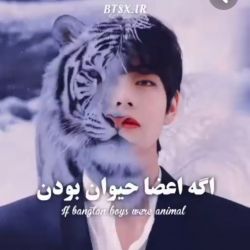 کاور