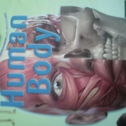 ده تا چیزی که احتمالا درباره بدن خودت نمیدونستی.