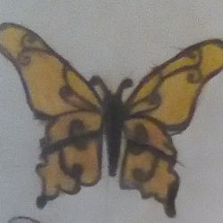عکس نقاشی پروانه های من❤️🦋
