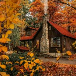 دانستنی های جالب۲