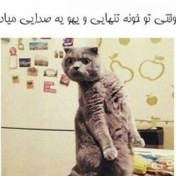 عکس خنده ی سم😂