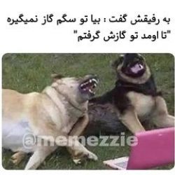 عکس ممممییییمممم