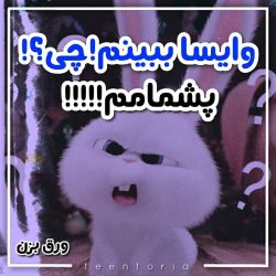 کاور
