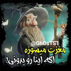 عکس تئوری و فکت پشم ریزونଘ2ଓ