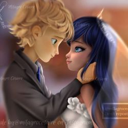 عکس love in miraculous 21