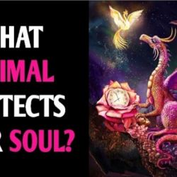 عکس چه حیوانی از روح شما محافظت می کند؟(تست شخصیت شناسی p⁹)