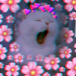 عکس بهترین عاجوی جهان هستی🥺💔