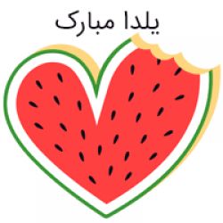 تست هدیم واسه تستچی