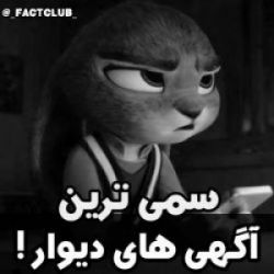 تست سمی ترین اگی های دیوار😂