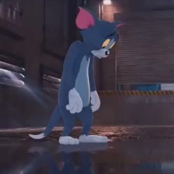 تست چرااا؟😐🦆