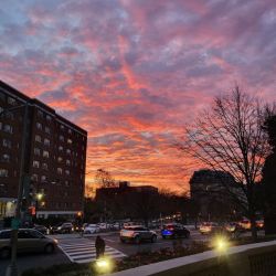 عکس شوگا،نامجون و جین کرونا گرفتن💔