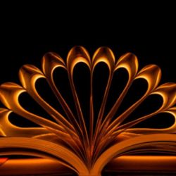 یک حرفی با ممد تستچی داشتم