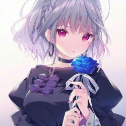 کاور