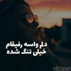 تست لابد همه