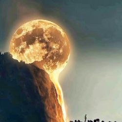 تست 🌌جالب،جهان هستی1🌌