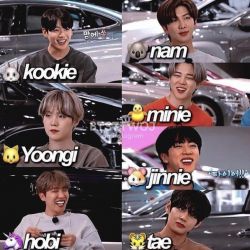 تست BT21 is cute